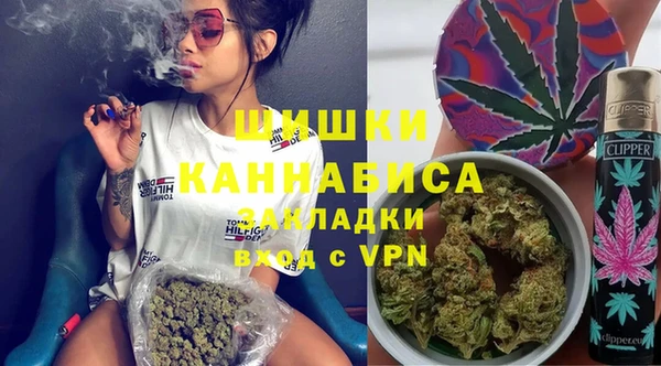 индика Алексеевка