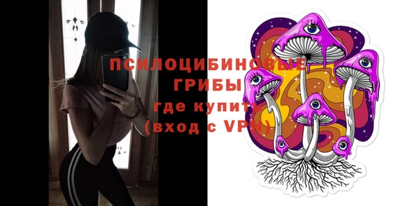 прущий лед Алексин